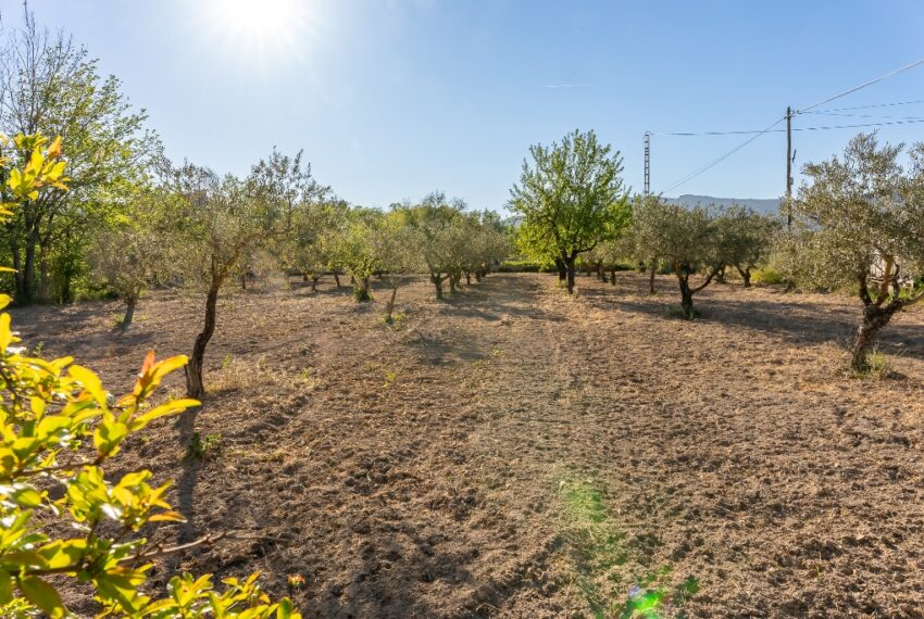 CasetaCastalla-15