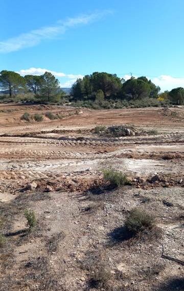 2109932e-310a-4edf-99eb-266812a34c6f