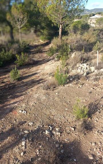 3b4bfe39-1c91-48b1-b601-cc60330732f8