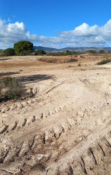 43b4d89c-9f67-4d6c-b3f6-012ddac4c2a8