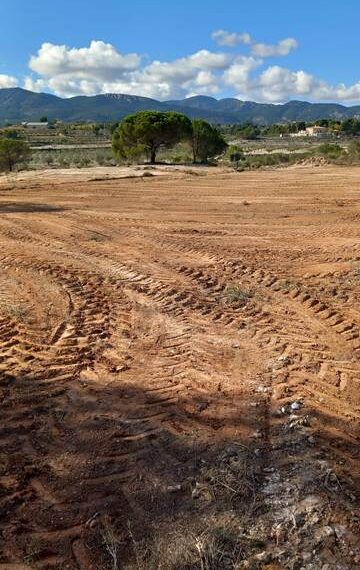 44efe639-6cef-42b8-b3f4-6efdd6d6187c