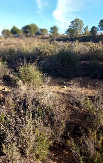 6a3f7852-46f9-4cae-8a4e-446f2e0a89f3