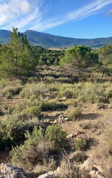 ec06a2f3-da19-4a6c-aaca-a996a3e276b8