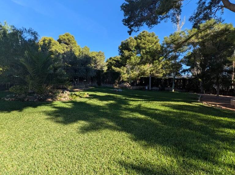 01fc9e01-0ae6-424e-a926-e12bfe6d504e