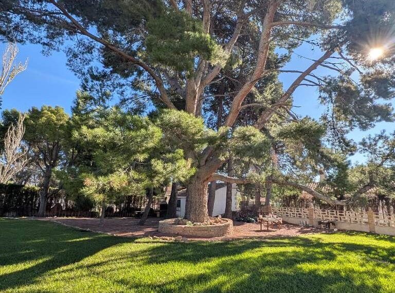 3c7c4725-2c88-4e53-8105-b3ebc071946f