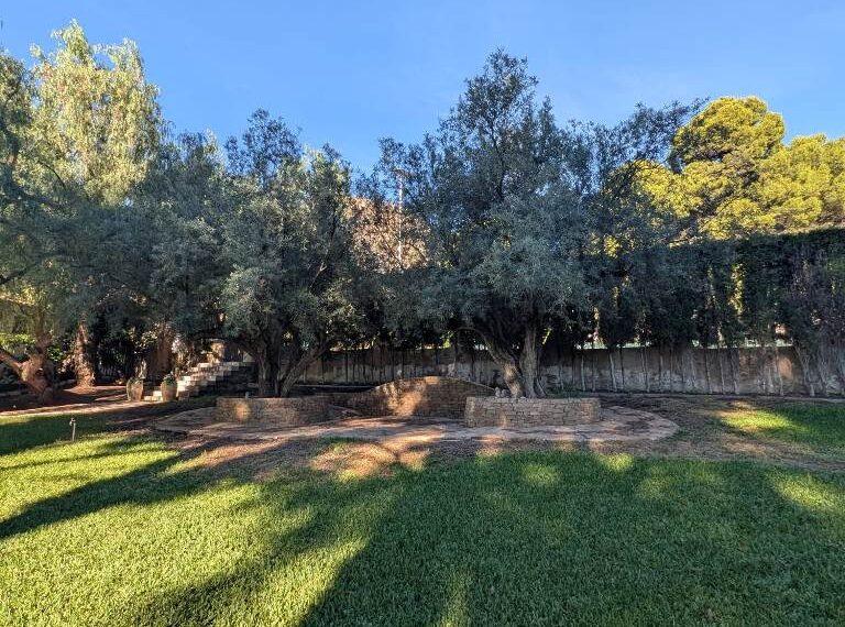 7c721bcc-bd18-4c0c-9f1e-3973b585ae2f