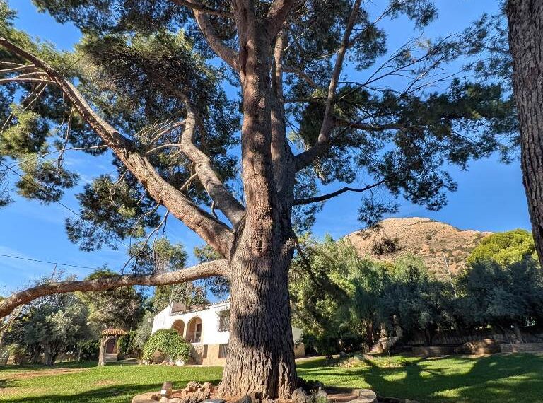 89cd62e4-dbba-468b-b6ed-3d685f7a6299