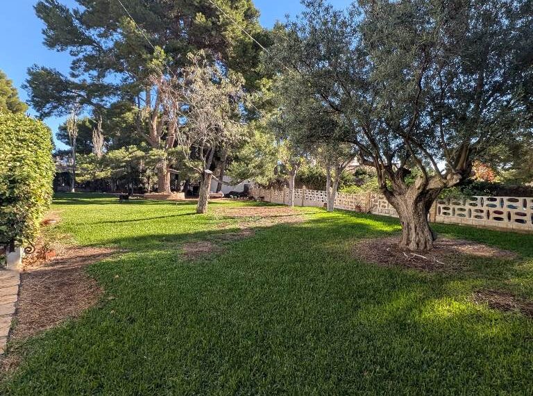 a6b6fd3f-8cc0-448a-8bd8-55f23bc0f390