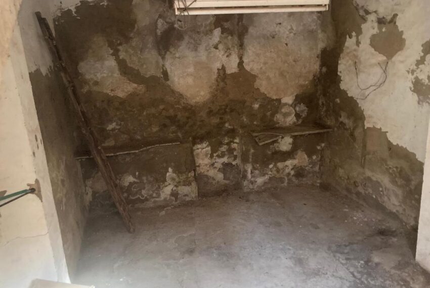 c3942c69-648e-4f77-a18c-d870e9825658